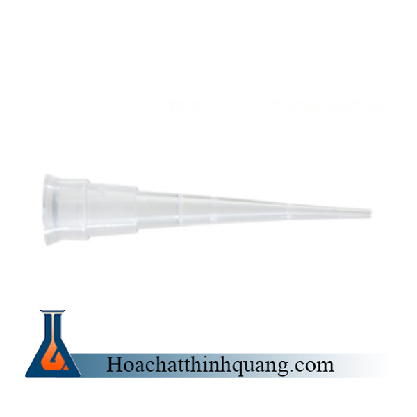 Đầu típ trắng 10