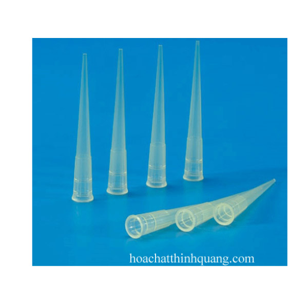 Đầu côn pipet